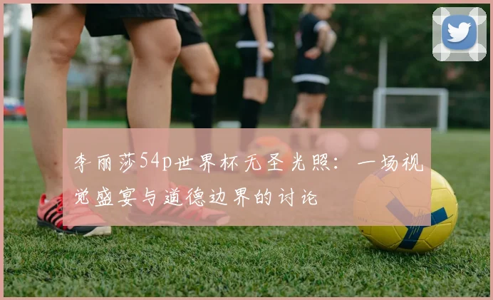 李丽莎54p世界杯无圣光照：一场视觉盛宴与道德边界的讨论