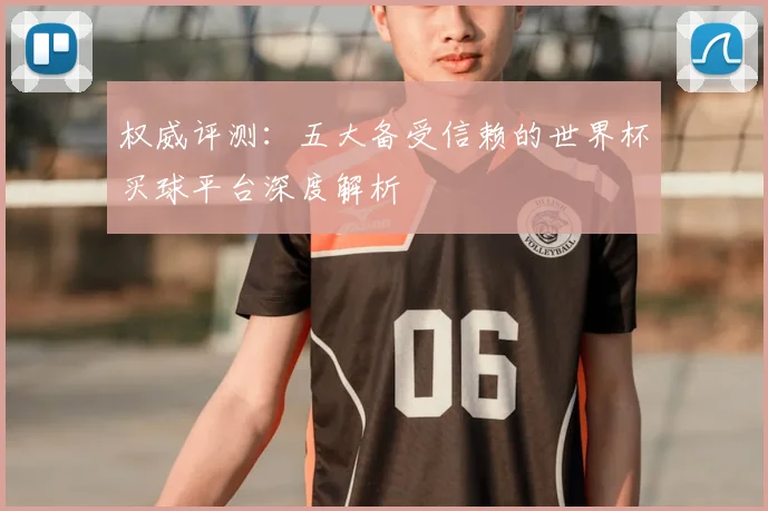 权威评测：五大备受信赖的世界杯买球平台深度解析