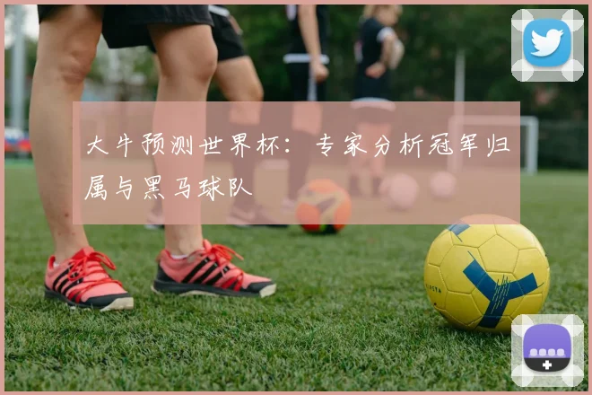 大牛预测世界杯：专家分析冠军归属与黑马球队