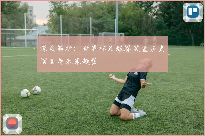 深度解析：世界杯足球赛奖金历史演变与未来趋势